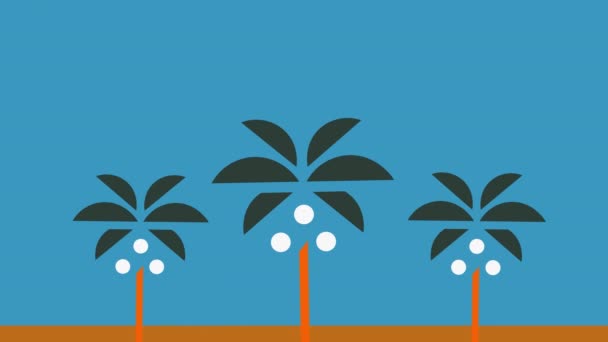 Palmträd Tropisk Turism Pov Driving Palm Träd Passerar Soliga Blå — Stockvideo