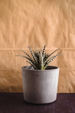 El sanatları kağıdına karşı saksı bitkileri