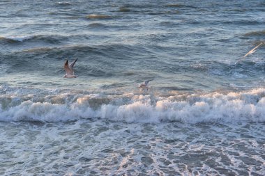 Deniz manzarasında dalgalar var. Denizde gün batımı.