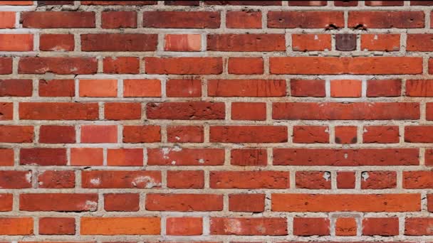 Brick Wall Background Abstraktní Bezešvé Smyčkové Animace — Stock video