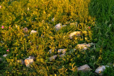 Gün batımında gökyüzüne giden dağ yolu