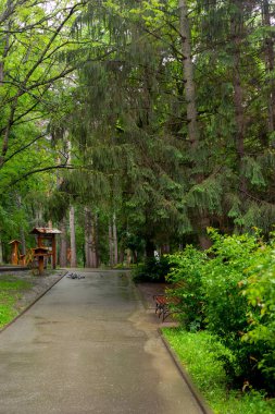 Bahar parkındaki patika. Yağmurdan sonra güzel bir sokak
