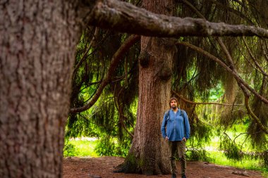 Bir adam sonbahar parkında duruyor, büyük bir ağacın yanında ve yukarı bakıyor.
