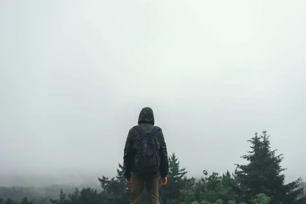 Человек Стоящий Вершине Горы Видом Лес Высоты Птичьего Полета — стоковое фото