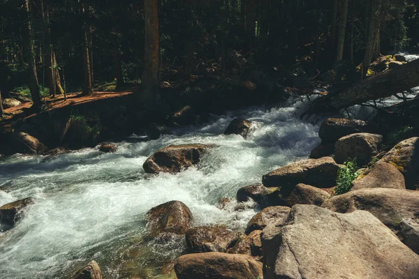 Ruisseau Montagne Dans Les Bois Printemps — Photo