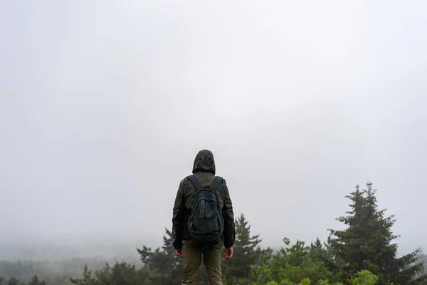 Человек Стоящий Вершине Горы Видом Лес Высоты Птичьего Полета — стоковое фото
