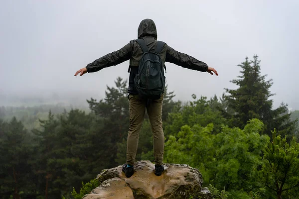 Man standing on top of a mountain with forest aerial view Travel Lifestyle adventure vacations concept