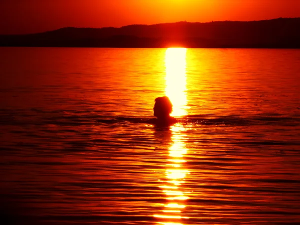 Sunset lake background — Stock Photo, Image