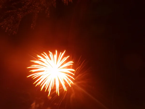 休日の花火 — ストック写真