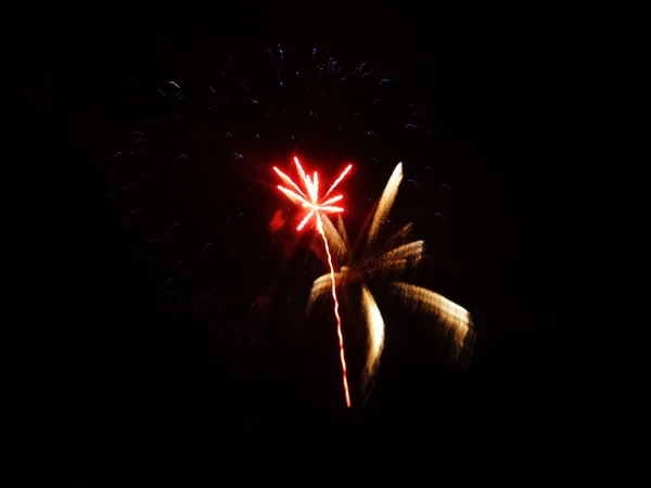 Feux d'artifice la nuit — Photo