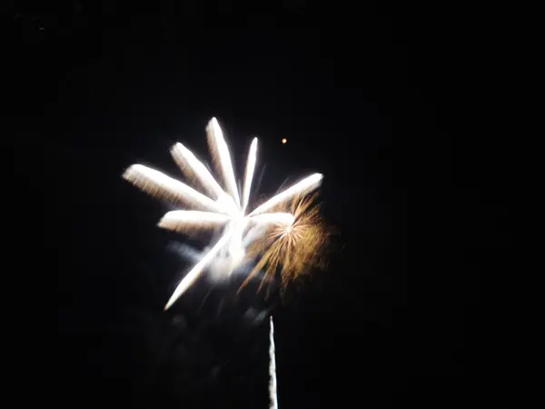 Fogos de artifício à noite — Fotografia de Stock