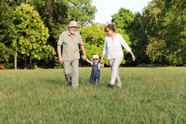 Wandelen in het park — Stockfoto