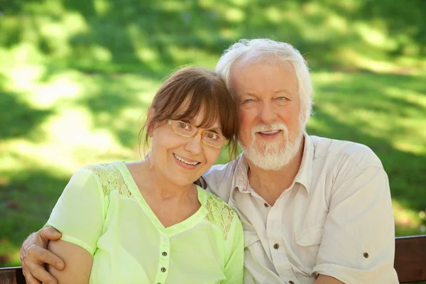 Senior couple sitting on a park bench — Stock Photo, Image