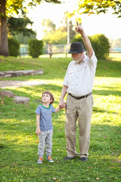 Wandelen in het park — Stockfoto