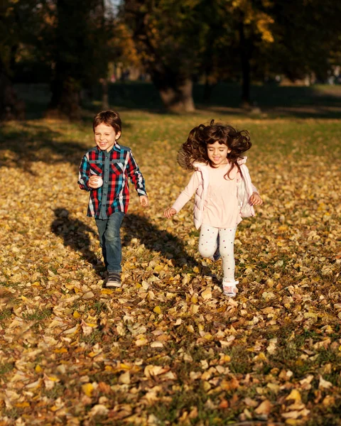 Autumn fun in the park — Stock Photo, Image