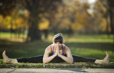 Geniş açı oturmuş ileri Bend