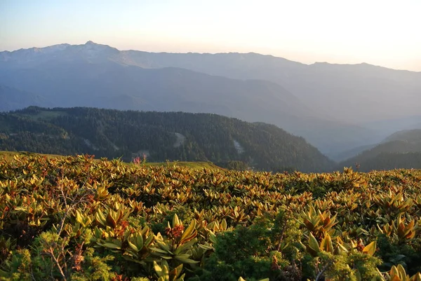 Trekking Bergen Van Noordelijke Kaukasus Rand Van Aibga — Stockfoto