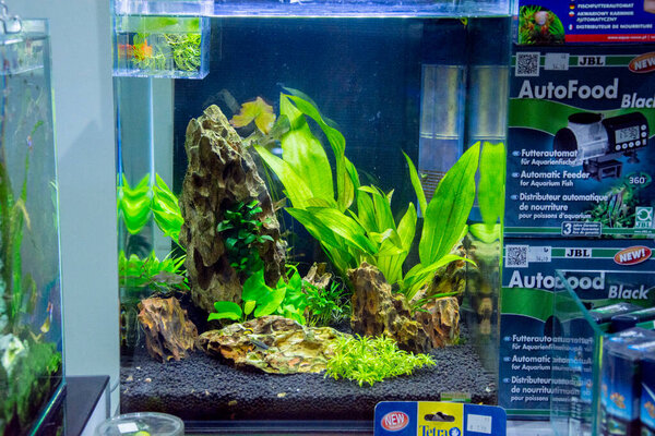 Пресноводный и морской аквариум с рыбой, растением, креветками и многим другим 