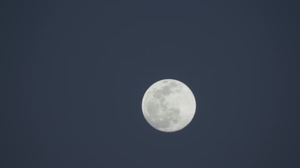 Close-up van een volle maan tegen een heldere hemel met weinig wolken 4K video — Stockvideo