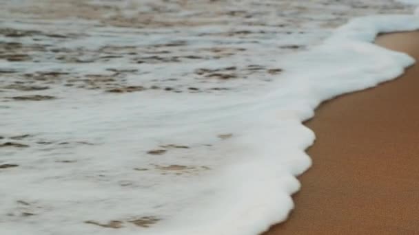 Λευκό αφρό surf στο ηλιοβασίλεμα στην παραλία Paradise με χρυσή άμμο σε μια ζεστή ηλιόλουστη μέρα — Αρχείο Βίντεο