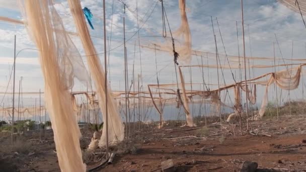 El cambio climático mundial amenaza con quebrar y arruinar las granjas debido a la sequía y los desastres naturales — Vídeo de stock