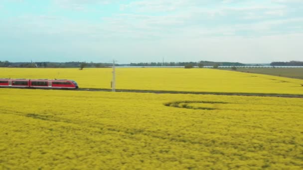 Un treno elettrico rosso ad alta velocità corre attraverso un campo fiorito di colza. Trasporto ecologico di fronte a una fonte di biocarburanti alternativi. Filmato Stock