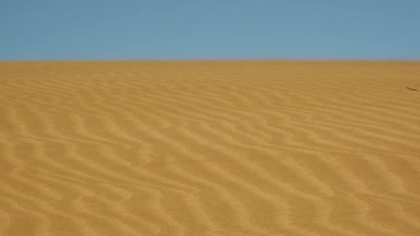 Vânt în deșertul nisip — Videoclip de stoc