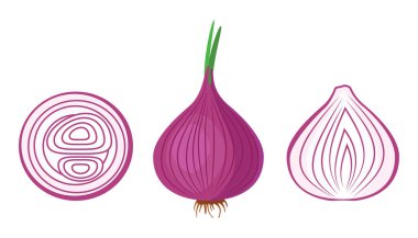 Red onion. Delicious and healthy vegetable used in food. A root vegetable that is prepared as a seasoning. Vector illustration isolated on a white background for design and web. clipart