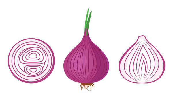 Red onion. Delicious and healthy vegetable used in food. A root vegetable that is prepared as a seasoning. Vector illustration isolated on a white background for design and web.