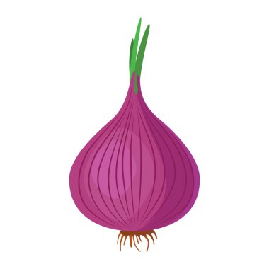 Kırmızı soğan. Yemeklerde kullanılan lezzetli ve sağlıklı sebzeler. Baharat olarak hazırlanmış bir sebze kökü. Tasarım ve web için beyaz bir arkaplanda izole edilmiş vektör illüstrasyonu.