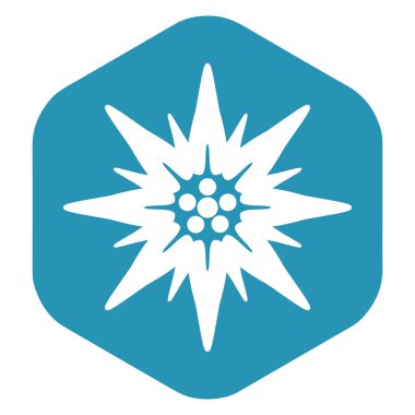Edelweiss simgesi. Yüksek rakımlı bir alp çiçeği, Bavyera ve Avusturya 'nın bir sembolü. Mavi altıgen üzerinde beyaz bir siluet. Tasarım ve web için beyaz bir arkaplanda izole edilmiş vektör illüstrasyonu.