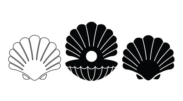 Una Concha Con Una Perla Tres Variaciones Concha Una Concha — Archivo Imágenes Vectoriales