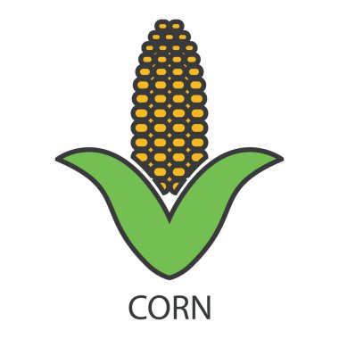 Üzerinde yazı olan mısır ikonu. Yeşil yapraklı ve gri çizgili sarı bir mısır koçanı. Alerjik reaksiyona neden olan bir ürün. Tasarım ve web için beyaz bir arkaplanda izole edilmiş vektör illüstrasyonu.