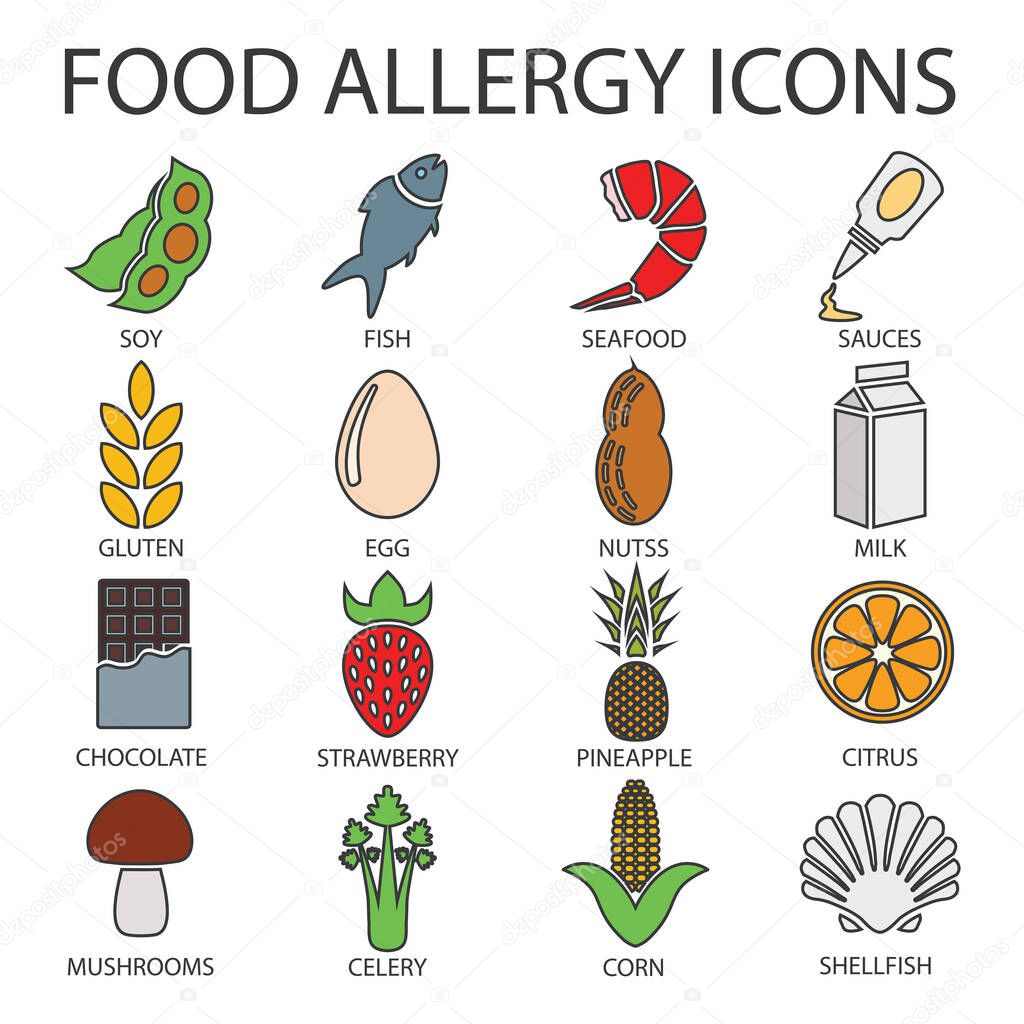 Icons of food that causes allergies. Colored food icons with a gray outline. Vector illustration isolated on a white background for design and web.