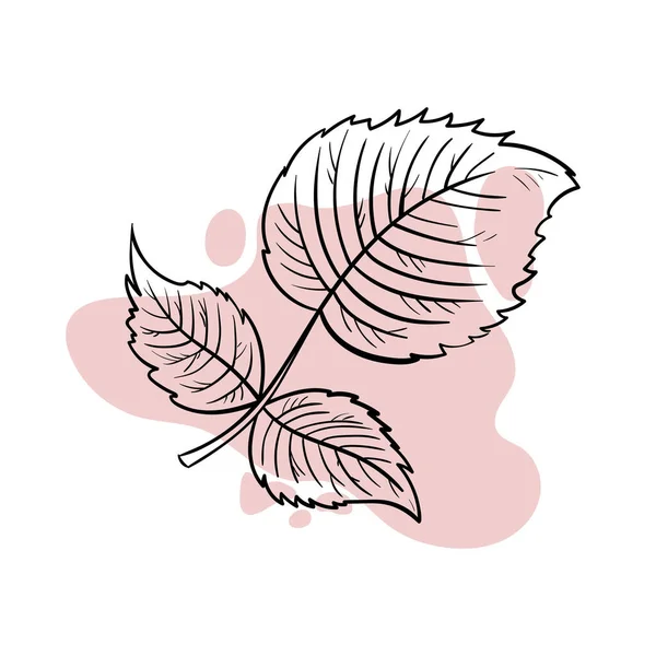 Pembe noktadaki çizgiler. Ağaç yaprağı Şık, minimalist bir model. Büyük logo seçeneği.