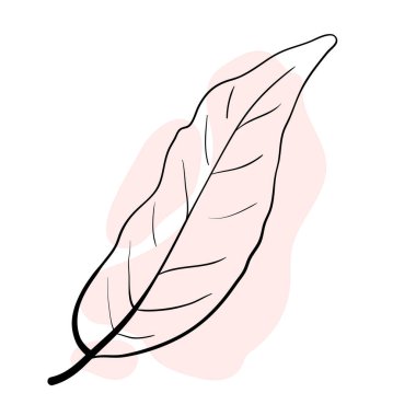 Renkli bir sanat tarzıyla vektör illüstrasyonu. Şık ve güzel bir kompozisyon. Ağaç yaprağı, doğal ve sürdürülebilir ürün. Simgeler, logolar, kartlar, baskılar ve posterler için uygun. Ayrıca web sayfalarının tasarımı için de. Bahar Yazı Sonbahar.