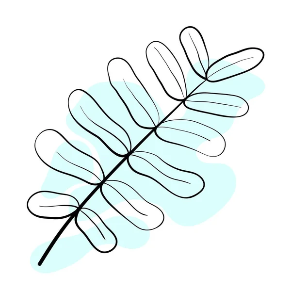 矢量插图在线条艺术风格中带有色斑 别致而优美的作文 天然可持续的产品 适用于图标 印刷品和海报 也用于网页的设计 春夏秋 — 图库矢量图片