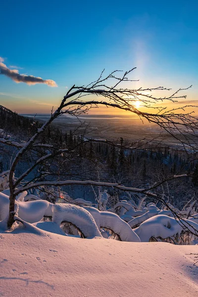 Kış ormanlarında gün batımı karlı alanlarda