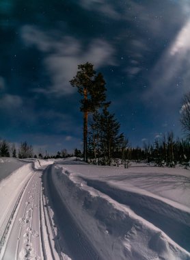 Akşam ormanı karların altında yıldızlı gökyüzünün arka planında