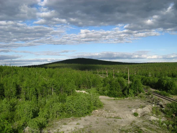 Ferrovia nella foresta — Foto Stock