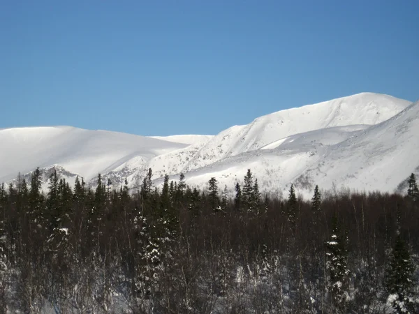 Montagne innevate, tempo invernale — Foto Stock