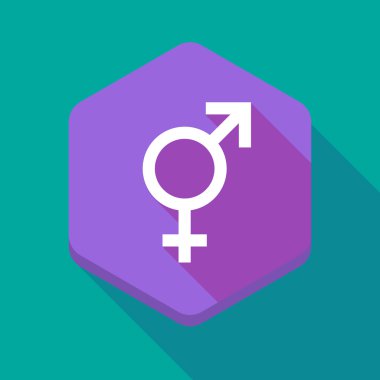 Uzun bir bigender sembol ile gölge altıgen simgesi