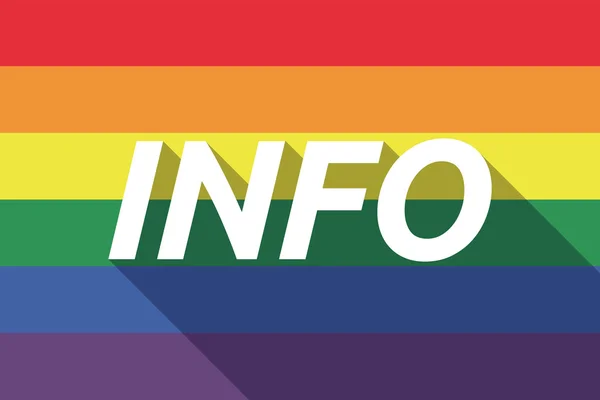 Vector långa skugga Gay Pride flaggan med texten information — Stock vektor