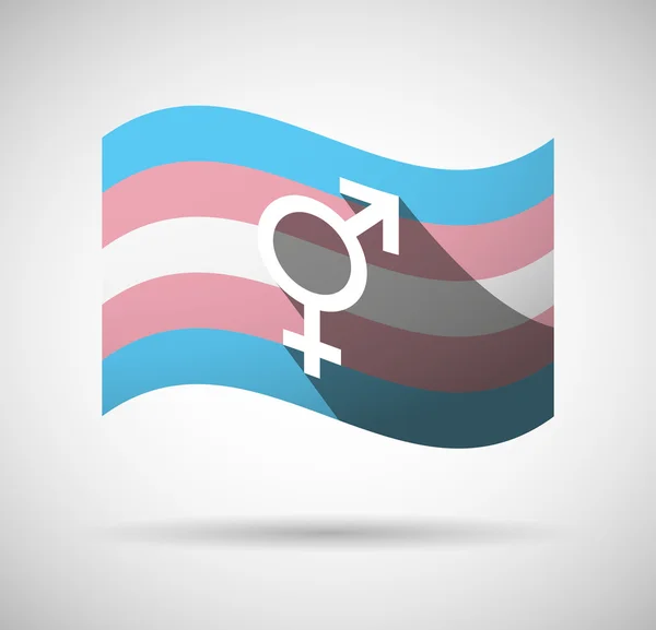 Transgender vlag — Stockvector