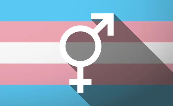 Transgender flag Stock Illustration