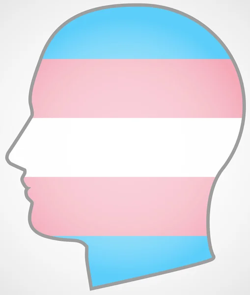 头与变性人骄傲的旗帜 — 图库矢量图片