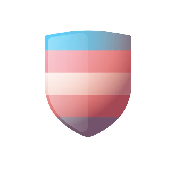 Shield with a transgender pride flag — Stock Vector