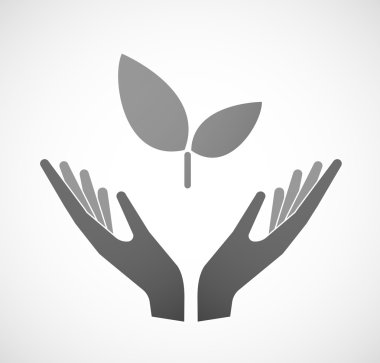 İki el bir bitki sunan