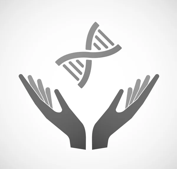 Due mani che offrono un segno di DNA — Vettoriale Stock