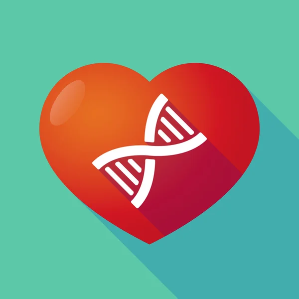 Lange schaduw rode hart met een Dna-teken — Stockvector